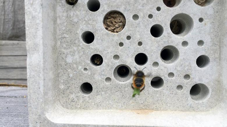 Green&Blue gives back to nature and helps protect our birds and bees