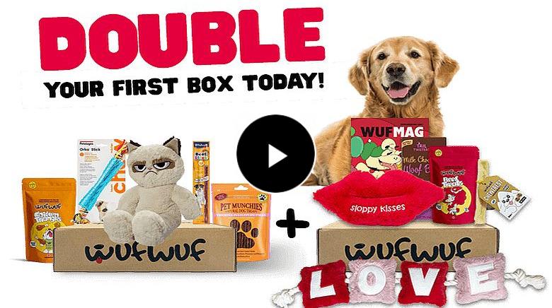 Treat your dog to a monthly fun-filled dog treat box, delivered to your door by WufWu