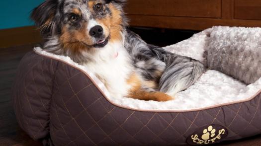 Get luxury dog beds from Scruffs, the pet bedding specialists from Manchester